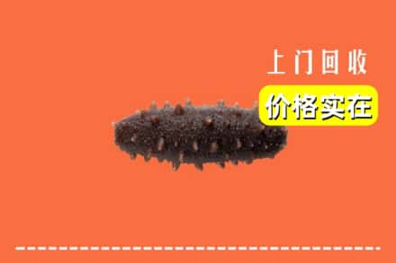 收购资讯:莒县回收海参