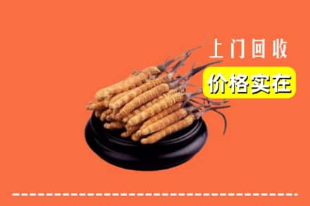 莒县回收冬虫夏草