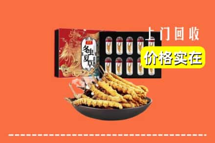 莒县回收虫草