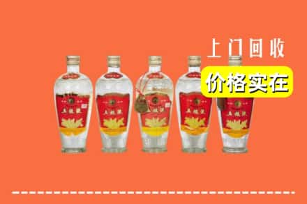 莒县回收老五粮液